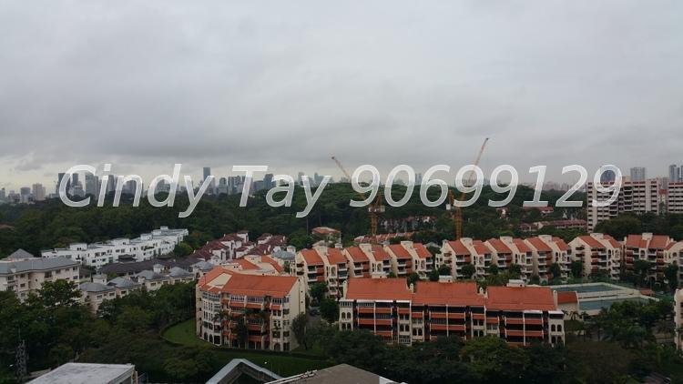 D'Leedon (D10), Condominium #176113012